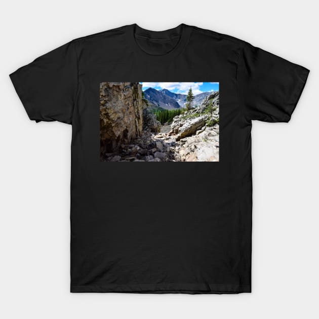 The High Country. T-Shirt by CanadianWild418